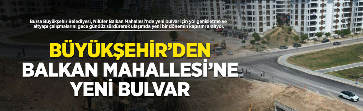 Bursa Büyükşehir Belediyesi, Nilüfer ilçesi