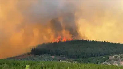 Bursa Orman Bölge Müdürlüğü, hava