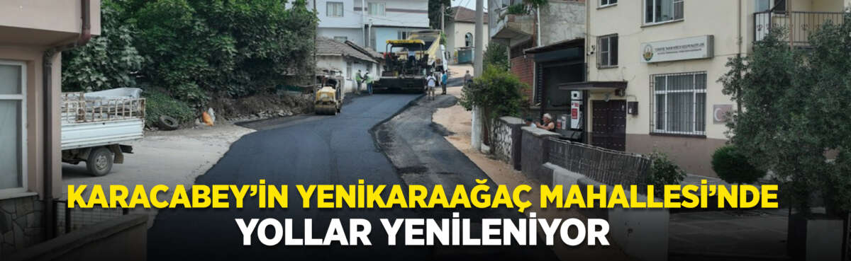 Bursa Büyükşehir Belediyesi, il genelinde