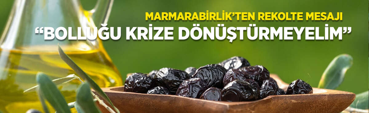 Marmarabirlik Yönetim Kurulu Başkanı Ali