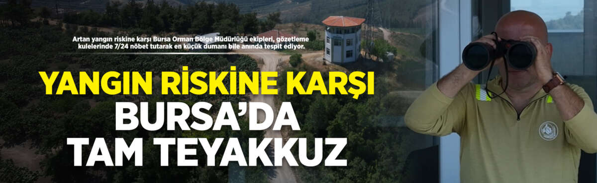 Yaz aylarının gelmesiyle birlikte orman
