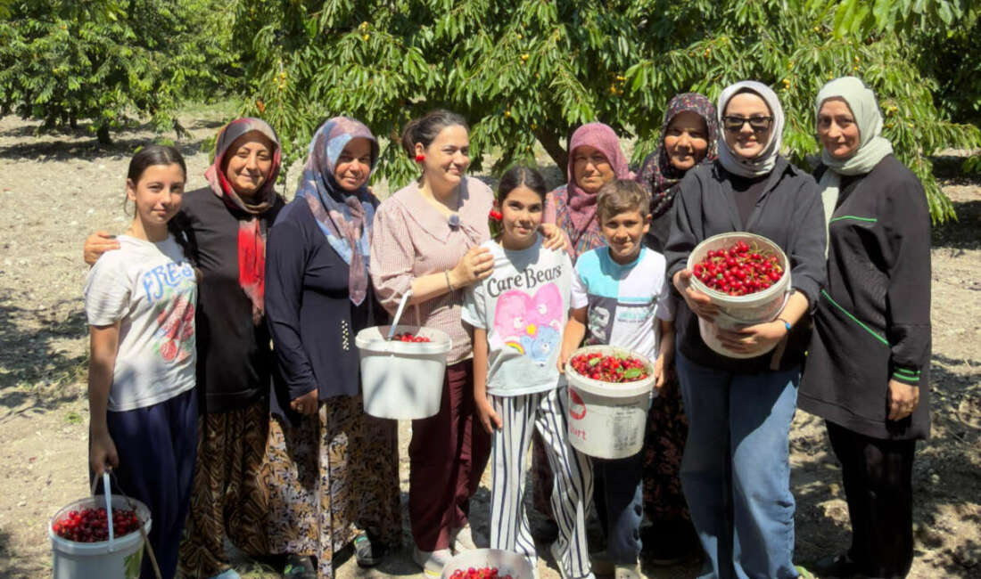 DAĞDER’den kiraz üreticilerine destek Bursa’nın dağ yöresinde kiraz
