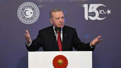 Cumhurbaşkanı Recep Tayyip Erdoğan, Fetullahçı