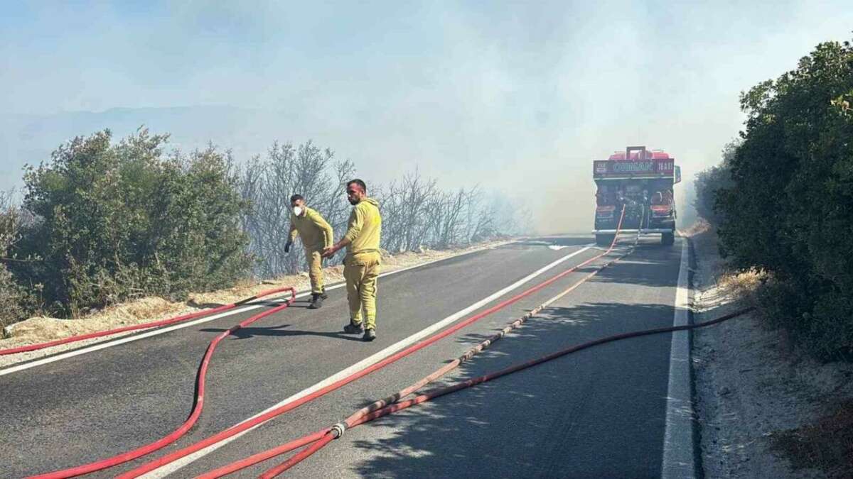Bursa’da ormanlık alanda yangın paniği