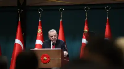 Cumhurbaşkanı Recep Tayyip Erdoğan, Terörsüz