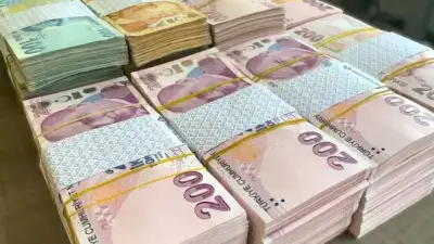 Şehit aileleri, gaziler ve vazife