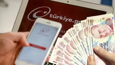 e-Devlet, ödeme ve elektronik para