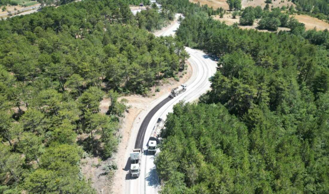 Bursa Büyükşehir Belediyesi, il