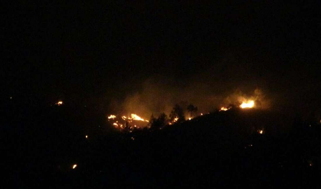 Çanakkale’nin Ezine ilçesinde çıkan