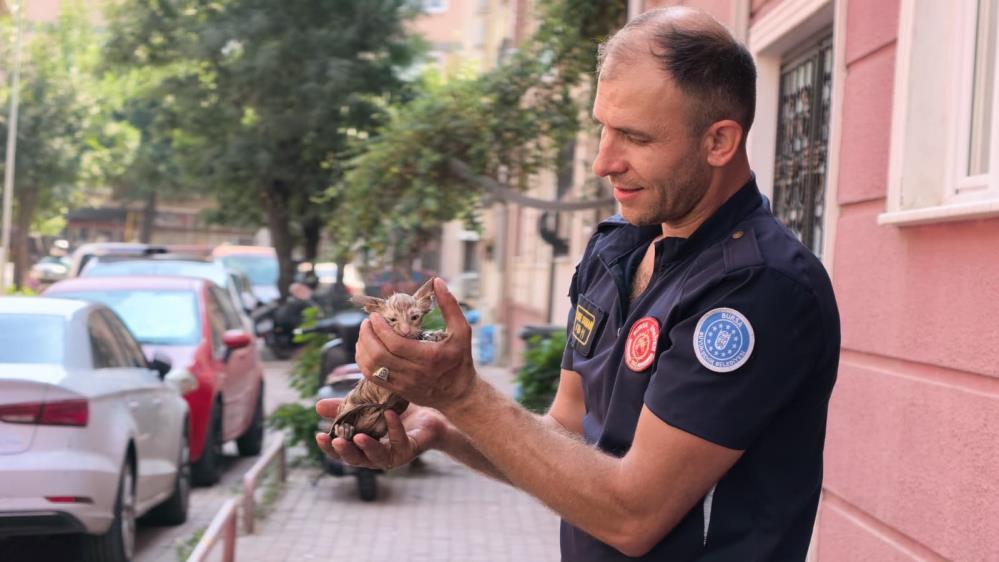 Bursa’da kedi kurtarma operasyonu Bursa’nın İnegöl ilçesinde apartmanın