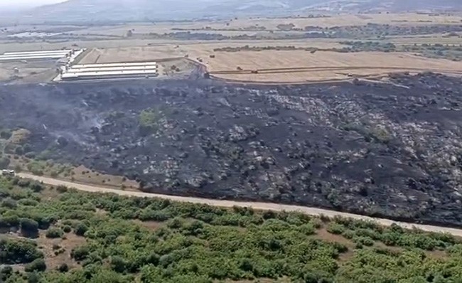 Bursa’da makilik alandaki yangında korkulan olmadı! Bursa'nın Karacabey ilçesi