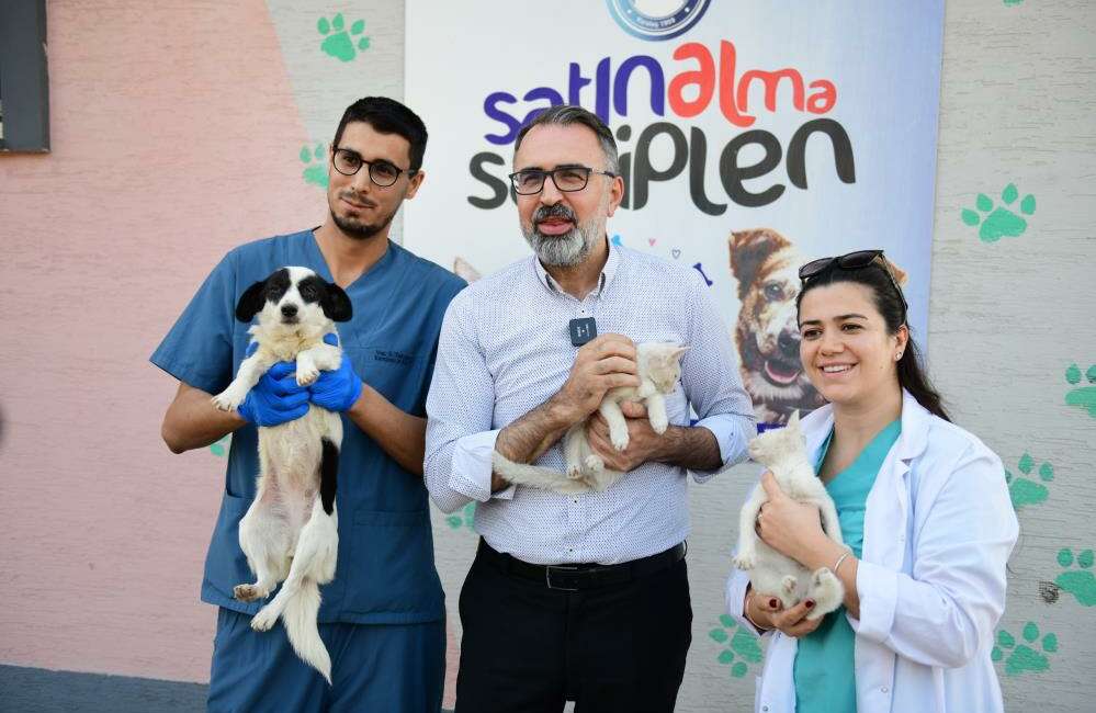 Bursa Kestel’de can dostları sahiplenmek sadece bir tık uzağınızda! Kestel Belediyesi tarafından hayata