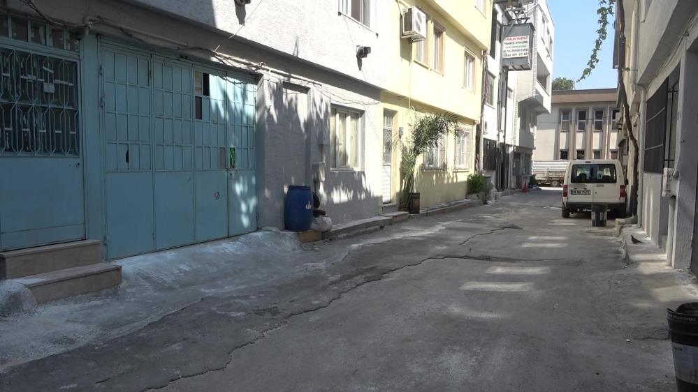 Bursa’da bu mahallede neler oluyor? Hayvanlara şiddet var mı? Pireler bastı… Bursa'nın Yıldırım ilçesinde