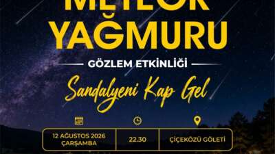 Yenişehir Belediyesi, yılın en dikkat