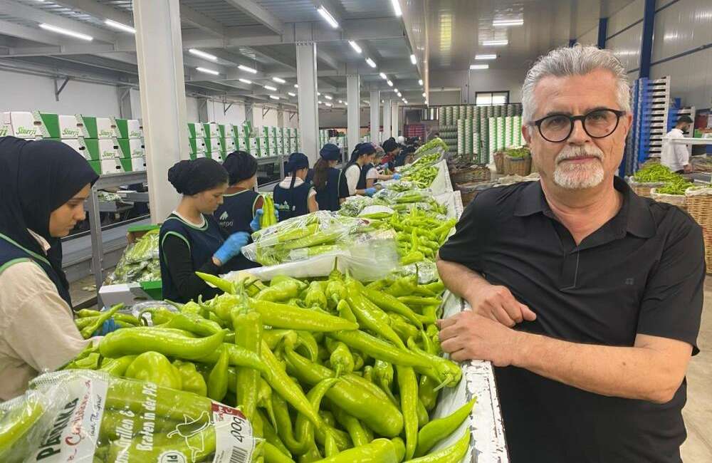 Bursa siyah inciri ve Yenişehir biberi Avrupa’dan talep görüyor Bursa'nın dünyaca ünlü siyah