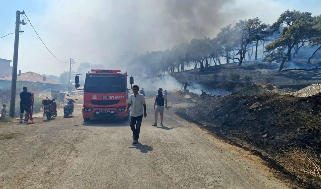 Kazdağları eteklerinde yangına 9 uçak 6 helikopter ile müdahale ediliyor Balıkesir'in Edremit ilçesine bağlı