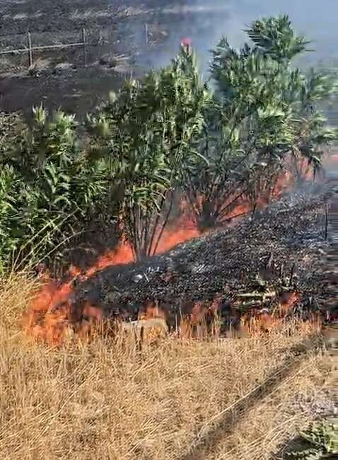 Bursa’da yangına anında müdahale; Vatandaş yardım etti Bursa'da otoban kenarındaki boş