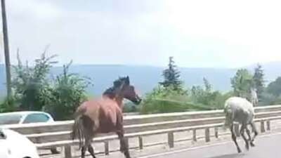 Bursa'nın İnegöl ilçesi Bursa-Ankara karayolu üzerinde