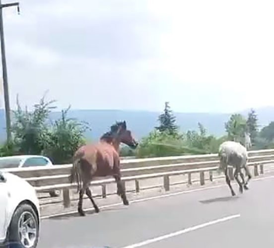 Bursa'nın İnegöl ilçesi Bursa-Ankara karayolu