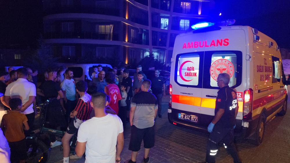 Aydın’da dönüş yapan kamyonete