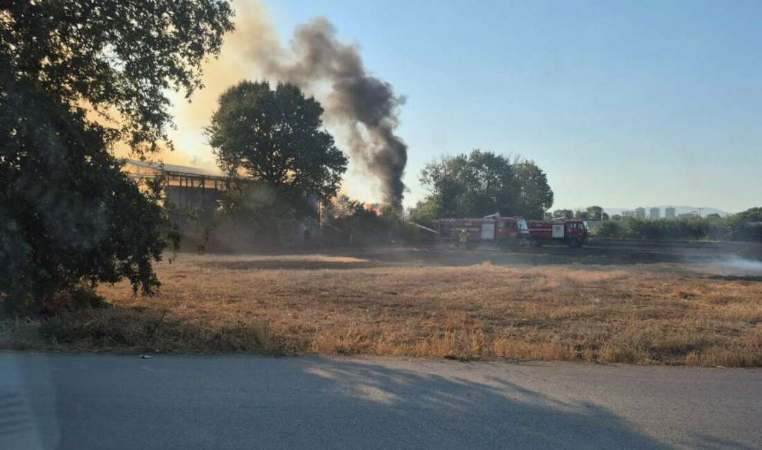 Bursa'da depo ve tarlalık
