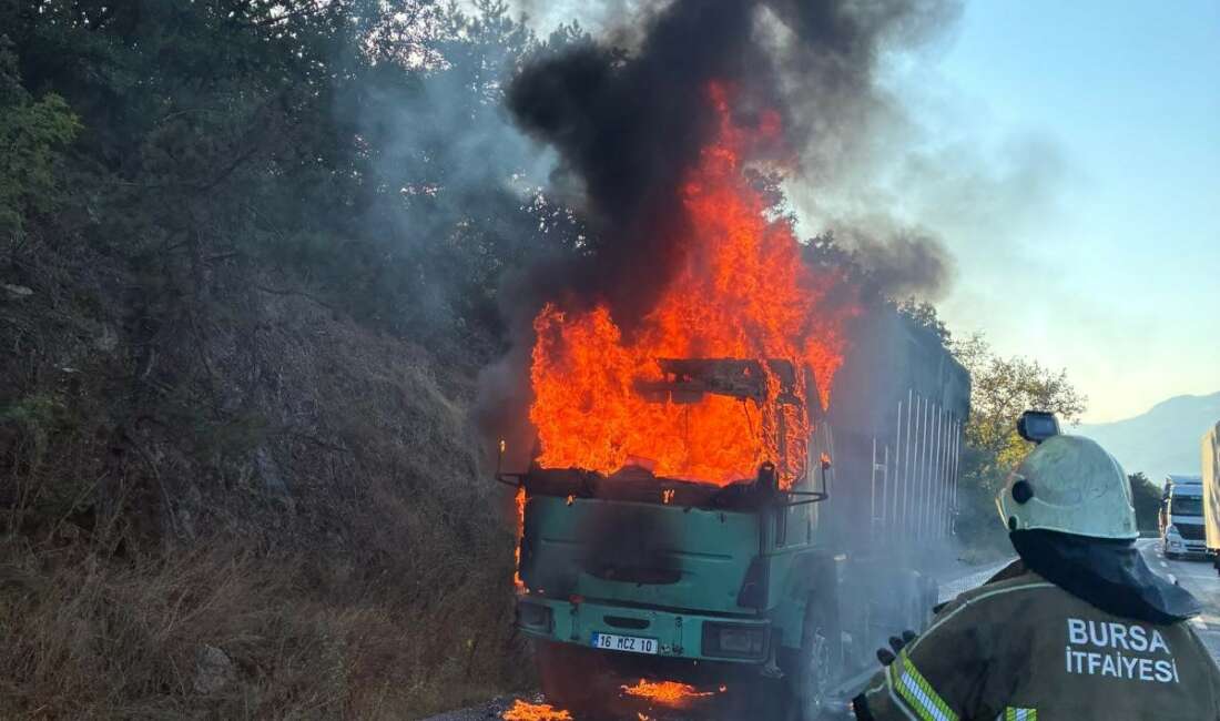 Bursa’nın İnegöl ilçesinde talaş