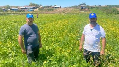 Bursa'da alternatif arayan köylüler tavsiye