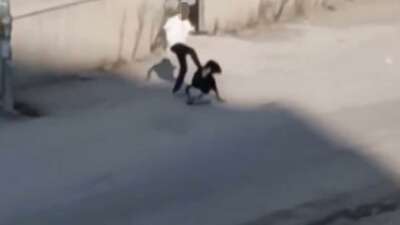 Adana'da sevgilisini apartman bahçesinde darbettikten