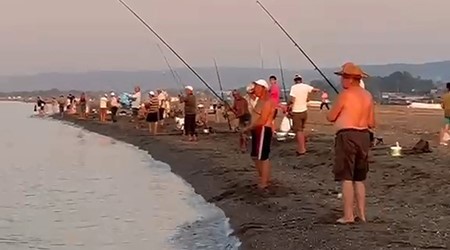Bursa’da amatör balıkçıların yüzünü güldüren olay! Bursa'nın Karacabey ilçesinde sahillerde