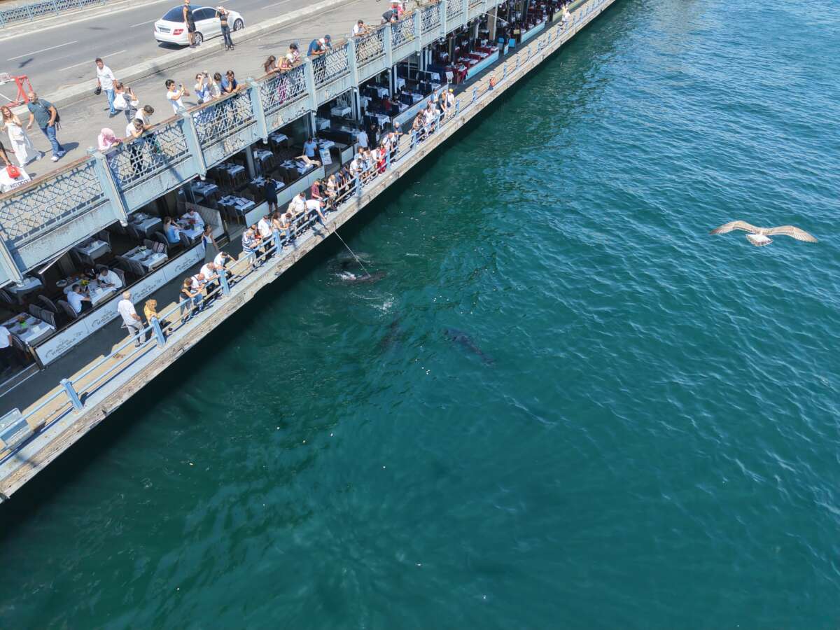 Boğazın devleri Eminönü kıyısında! 