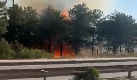 Bursa'nın Kestel ilçesinde birbirine
