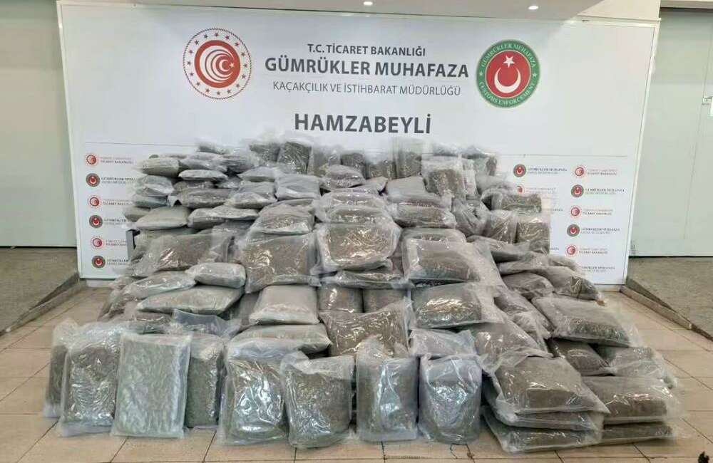 Edirne Hamzabeyli Gümrük Kapısı’nda