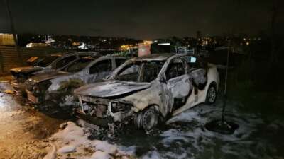 Avcılar'da bir oto galeride 3