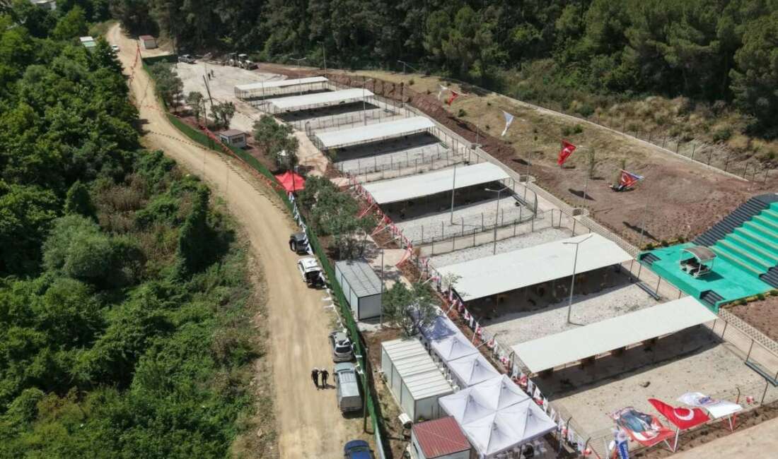 Bursa Hayvan Hakları Platformu’ndan Gemlik Belediyesi’ne tepki: “Kapıları açın” Bursa Hayvan Hakları Platformu,