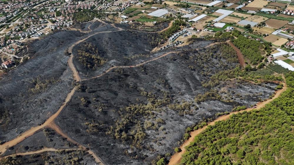 Fethiye’den acı görüntü Muğla’nın Fethiye ilçesinde dün