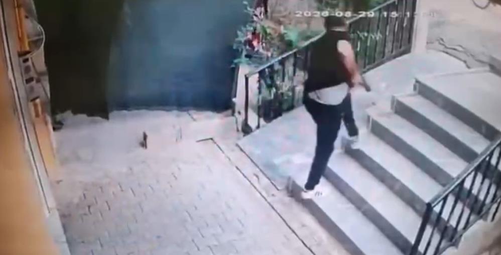 Şanlıurfa'nın Karaköprü ilçesinde,