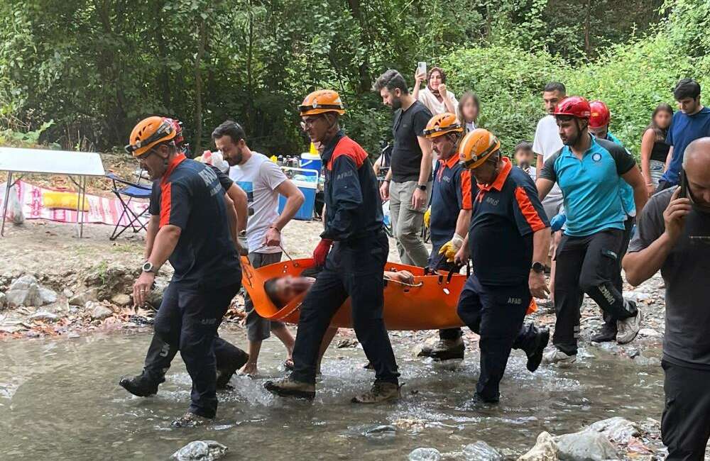 Bursa'nın Nilüfer ilçesinde ormanlık