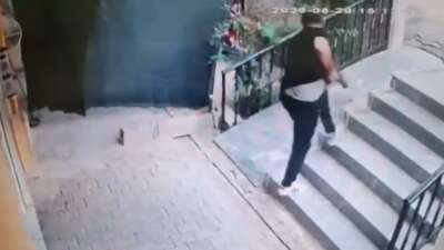 Şanlıurfa'da çocuk kavgasında aileyi