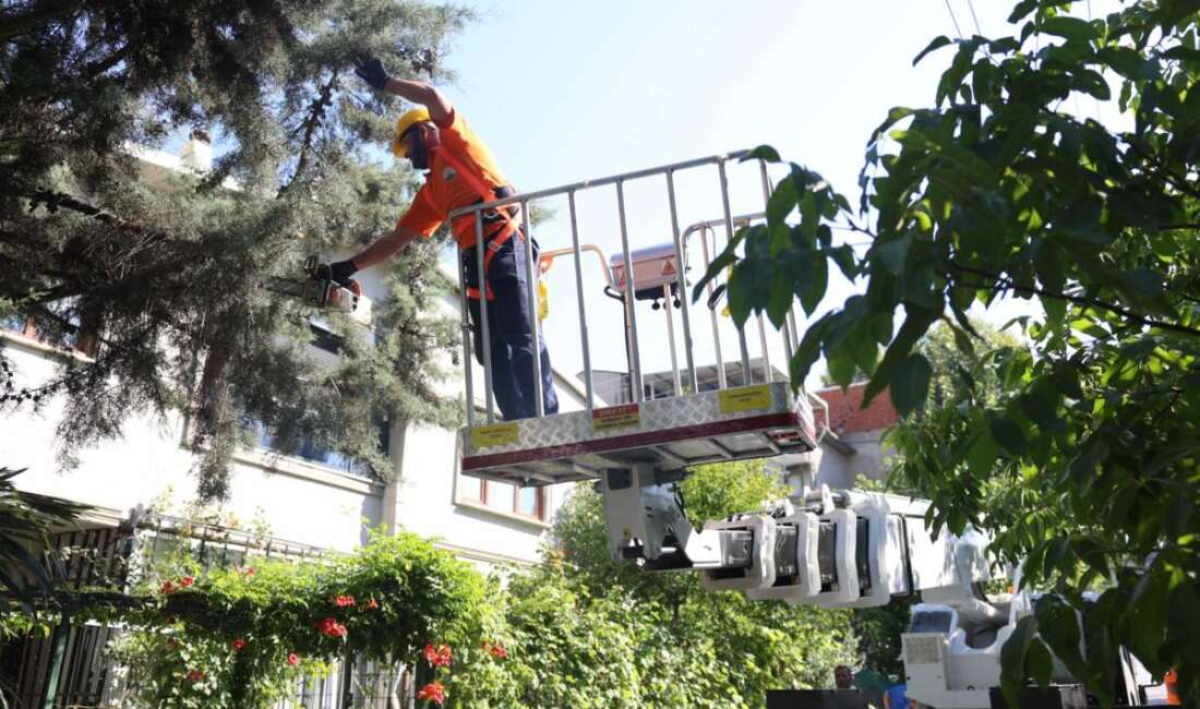 Osmangazi’de yeşil alanlar için harekete geçildi Osmangazi Belediyesi, daha yeşil