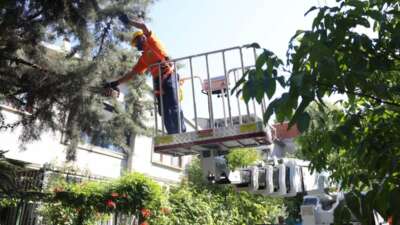 Osmangazi Belediyesi, daha yeşil ve