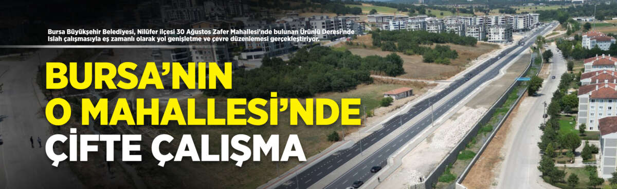Bursa Büyükşehir Belediyesi, Nilüfer ilçesi