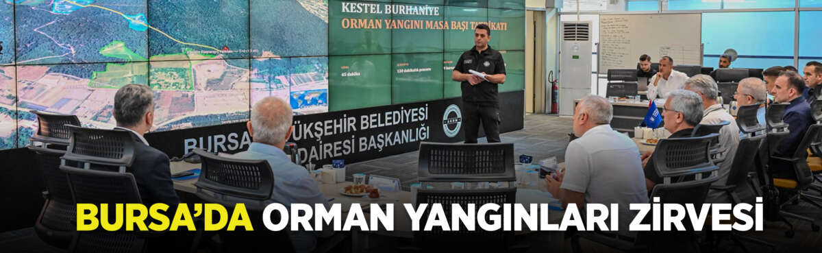 Bursa Büyükşehir Belediyesi, il sınırları