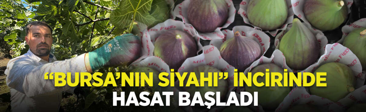 Bursa’ya özgü dünyaca ünlü ve