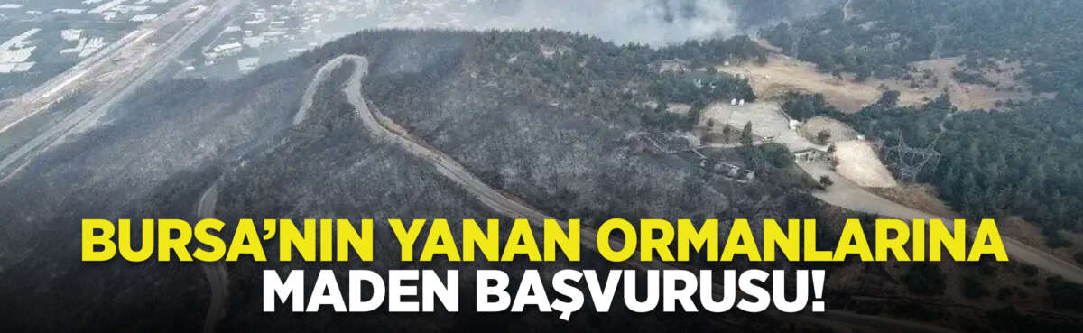 Gürsu’da 2025’teki orman yangınının ardından