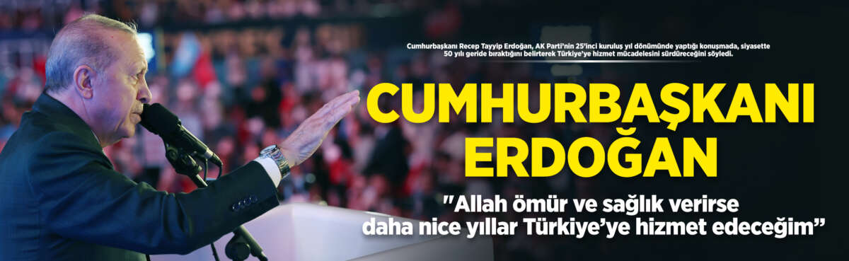Cumhurbaşkanı Recep Tayyip Erdoğan, AK