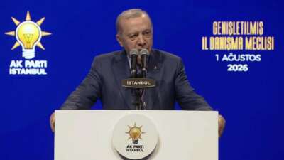 Cumhurbaşkanı Recep Tayyip Erdoğan, AK