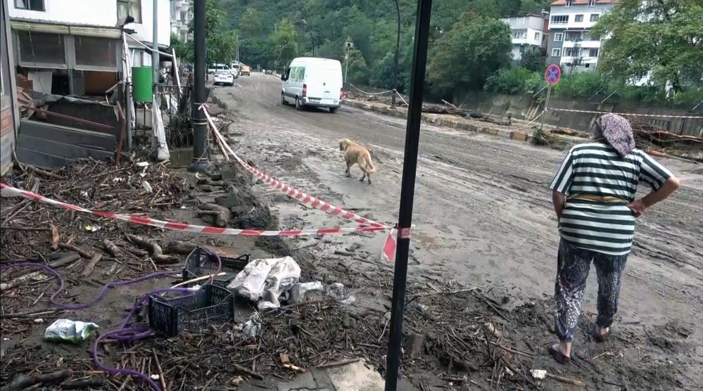 Giresun’da sel suları çekildi, geriye çamuru kaldı Giresun’un yüksek kesimlerinde etkili