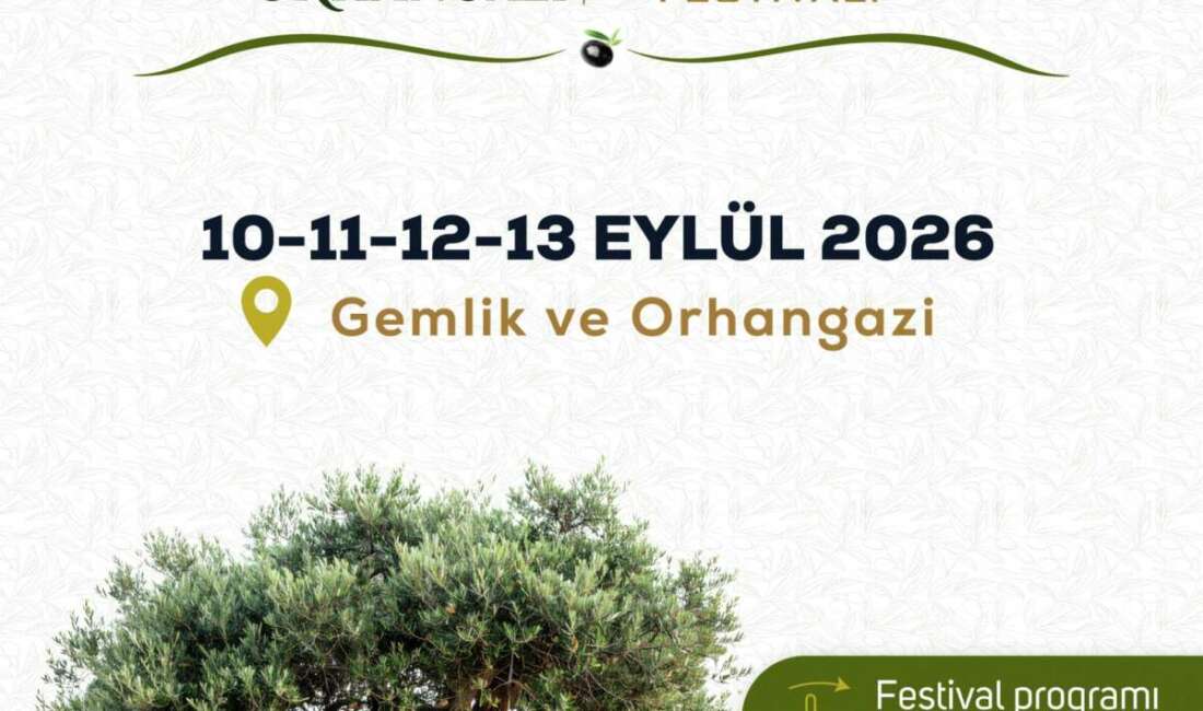 Gemlik-Orhangazi Zeytin Festivali başlıyor Gemlik ve Orhangazi’nin bereketli