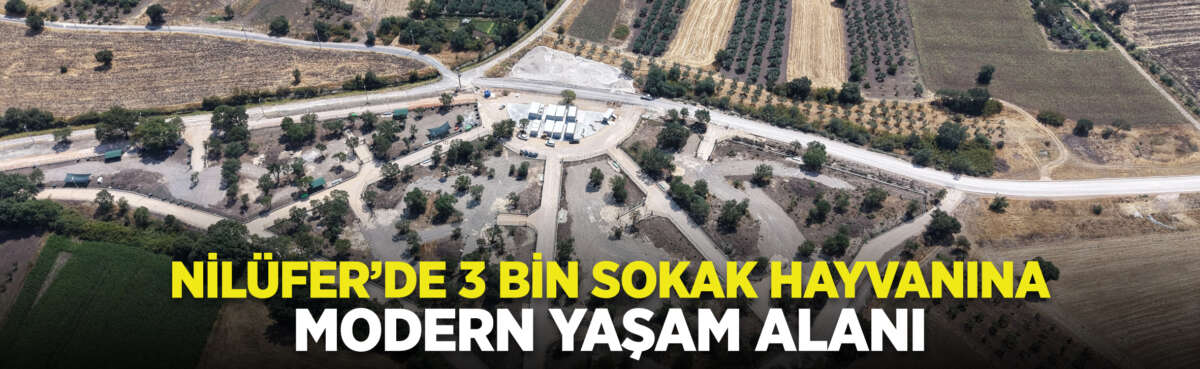 Nilüfer Belediyesi, Karacaoba Mahallesi’nde 49