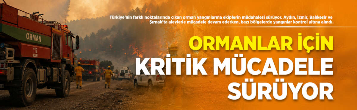 Türkiye’nin farklı noktalarında çıkan orman